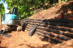 Menno Nentjes - Landscaping Cairns