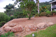 Menno Nentjes - Landscaping Cairns